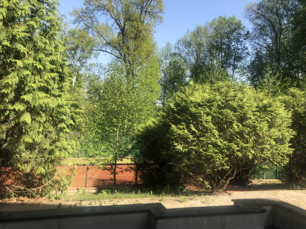 Деревья и теннисный корт на территории Riverside / Trees and a tennis court on the Riverside campus